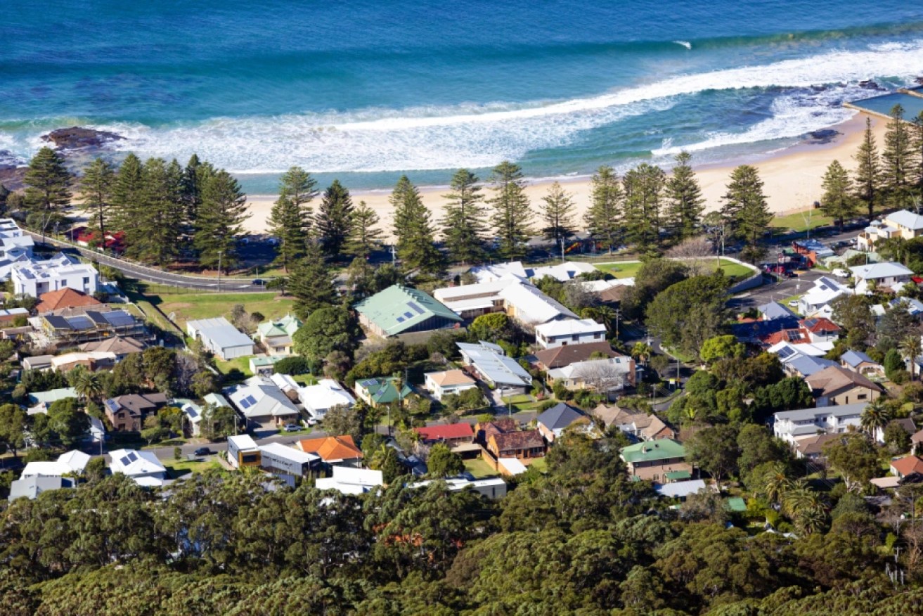 A new analysis paper looks at how investors are responding to the current property market.