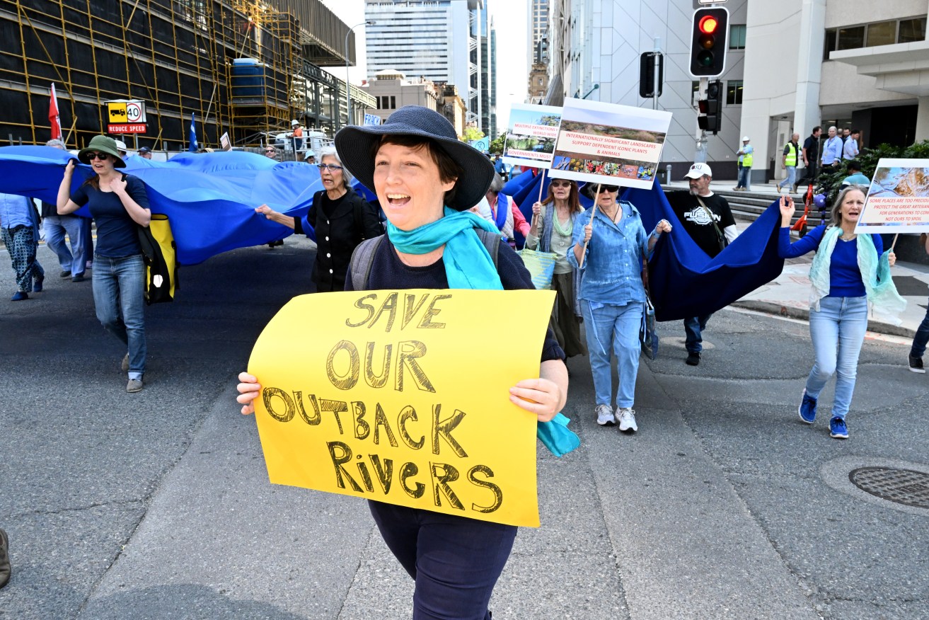 Environmental campaigners have welcomed a blueprint on options to protect the Lake Eyre Basin after it was released by the Queensland government.