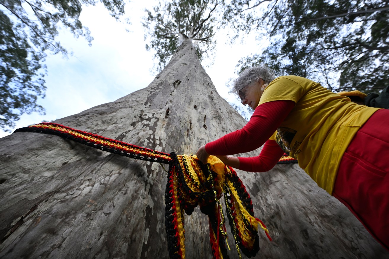 Larraine Larri and Knitting Nanna activists symbolically wrapped wool around Big Spotty.