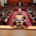 Wild conspiracy or not? Senate addresses excess deaths