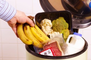 Fridge, pantry audits vital to cut food waste 