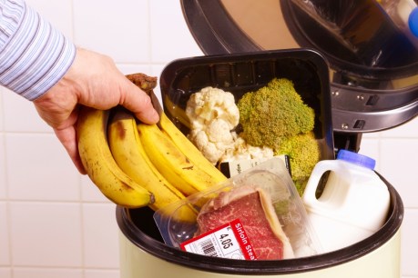 How use-by dates lead to ‘huge’ food waste