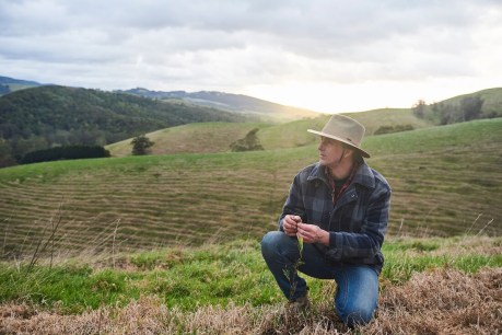 Help protect precious Australian ecosystems from climate change