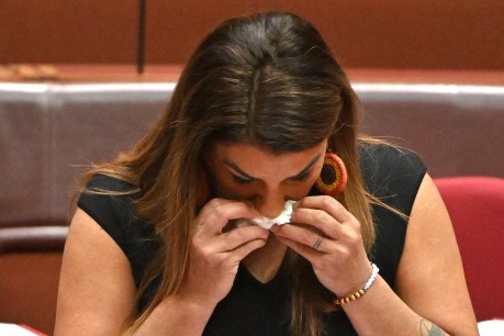 Liberal senator expelled amid further abuse claims