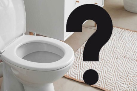 The pee-plexing dilemma of whether to stand or sit