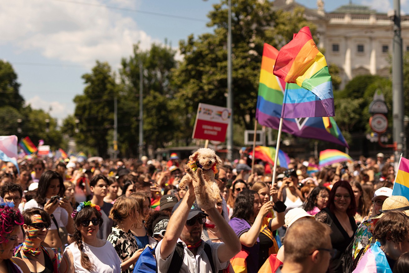 Austrian authorities foiled a possible attack on Vienna's Pride parade by three young men. 