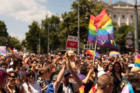 Security foils attack on Vienna pride parade