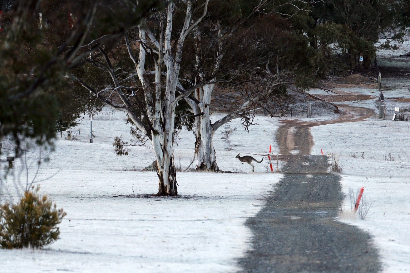 The mercury has dipped around Australia and the freezing temperatures are set to continue, bringing a much-needed dusting of snow to alpine resort areas.