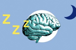 A napping habit aids brain health from A to Zzzz