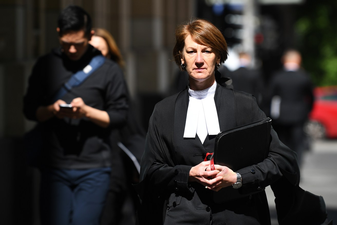 Director of Public Prosecutions Kerri Judd is in a public spat with investigator Geoffrey Nettle.