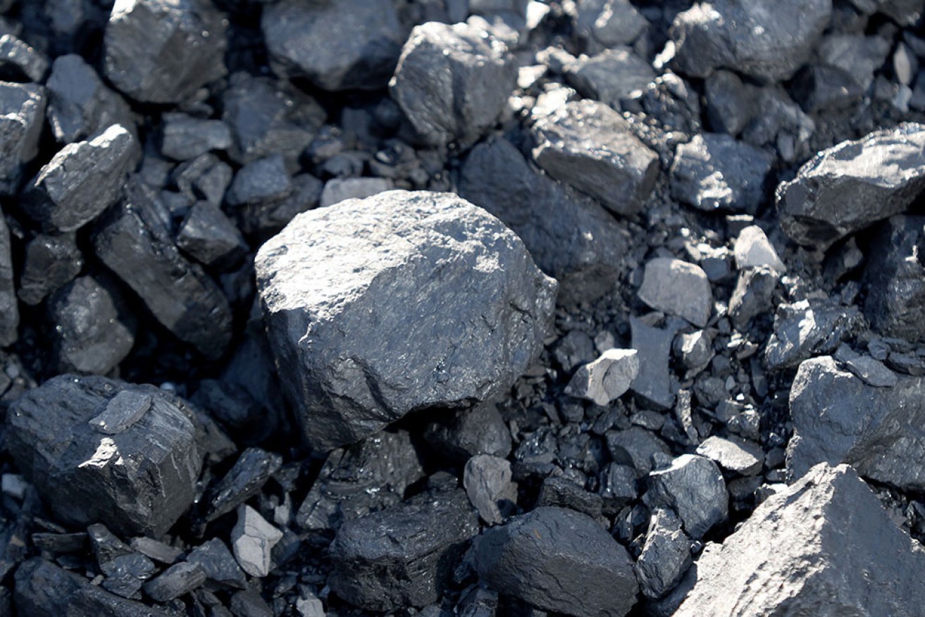 Coal miner Bravus, the Australian arm of Adani, says it welcomes legitimate media scrutiny.