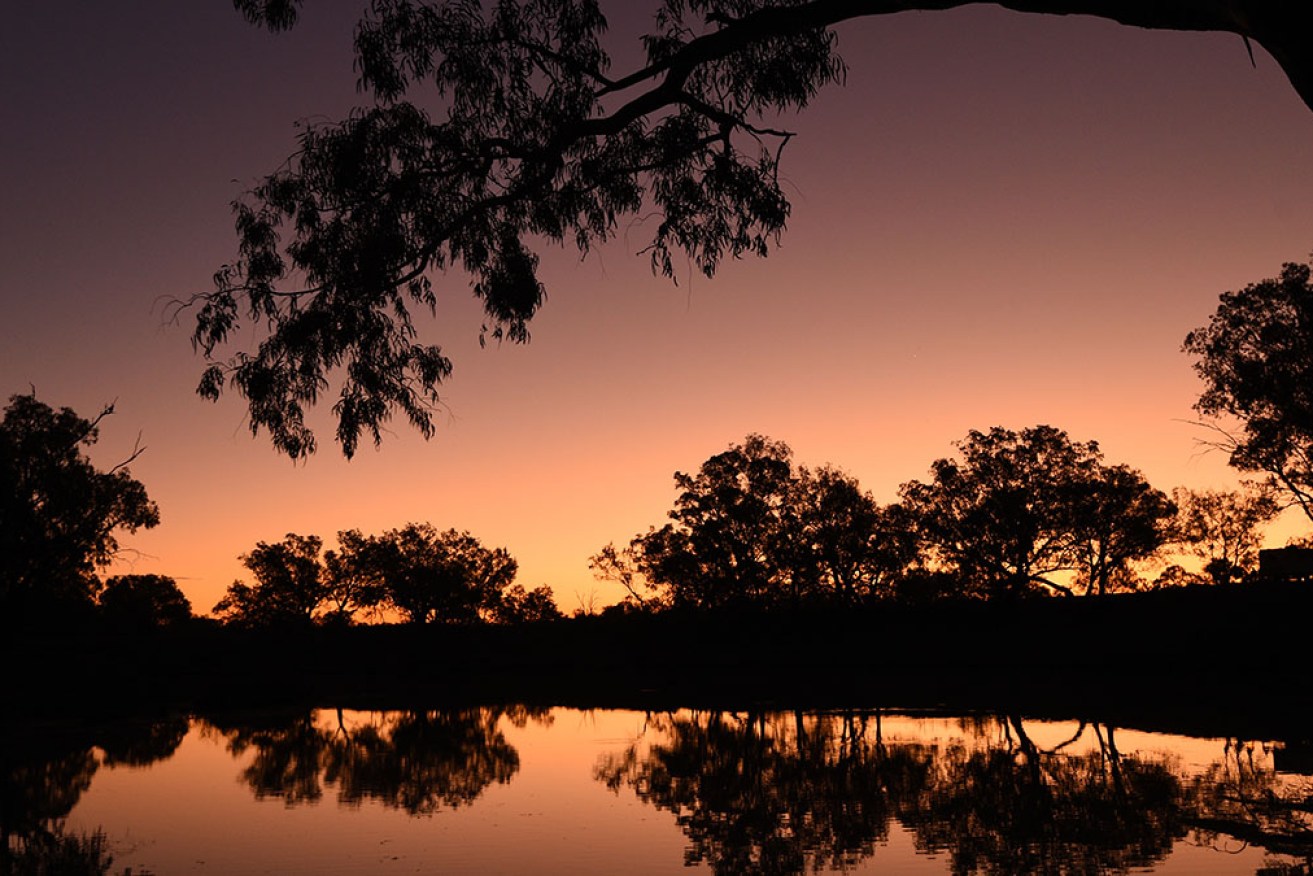 Cloncurry Prize winner <i>Remembering Mary</i> explores a pioneering woman's outback life in the 1800s.