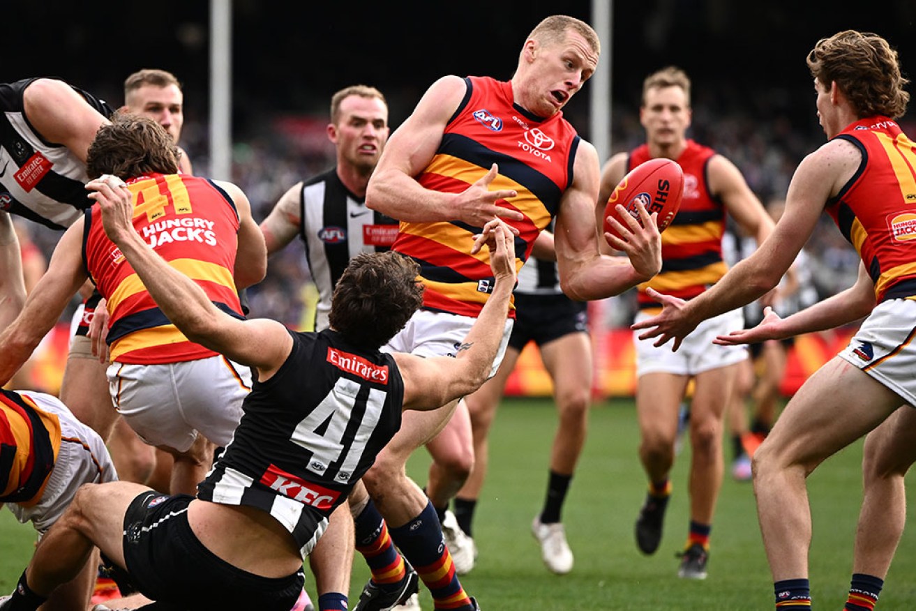 The AFL says Adelaide should have been paid a possible game-changing free kick against Collingwood.