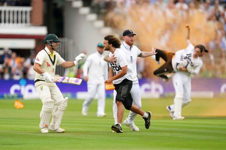 Bairstow hailed ‘hero’ after halting pitch protesters