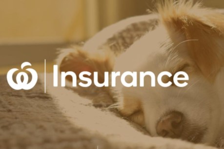 Woolworths blocked in pet insurance crackdown