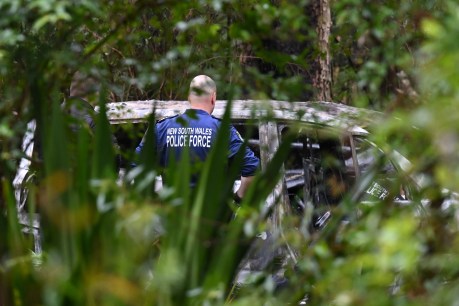 Gruesome remains found in two burnt-out cars in Sydney