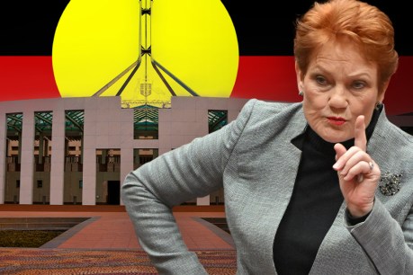 Divisions in ‘No’ camp over Pauline Hanson’s words