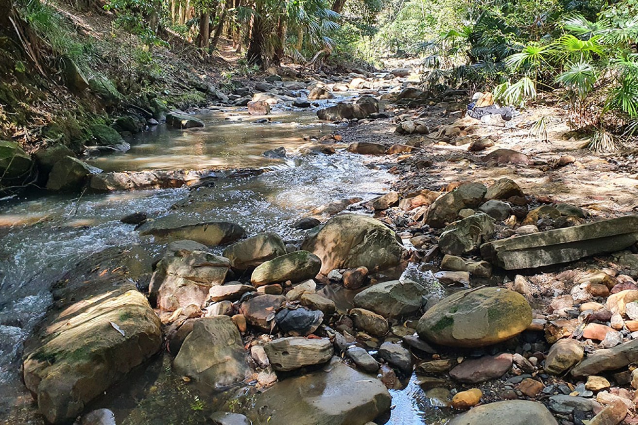 About 16 million litres of sewage was discharged and entered a creek in northern Sydney.