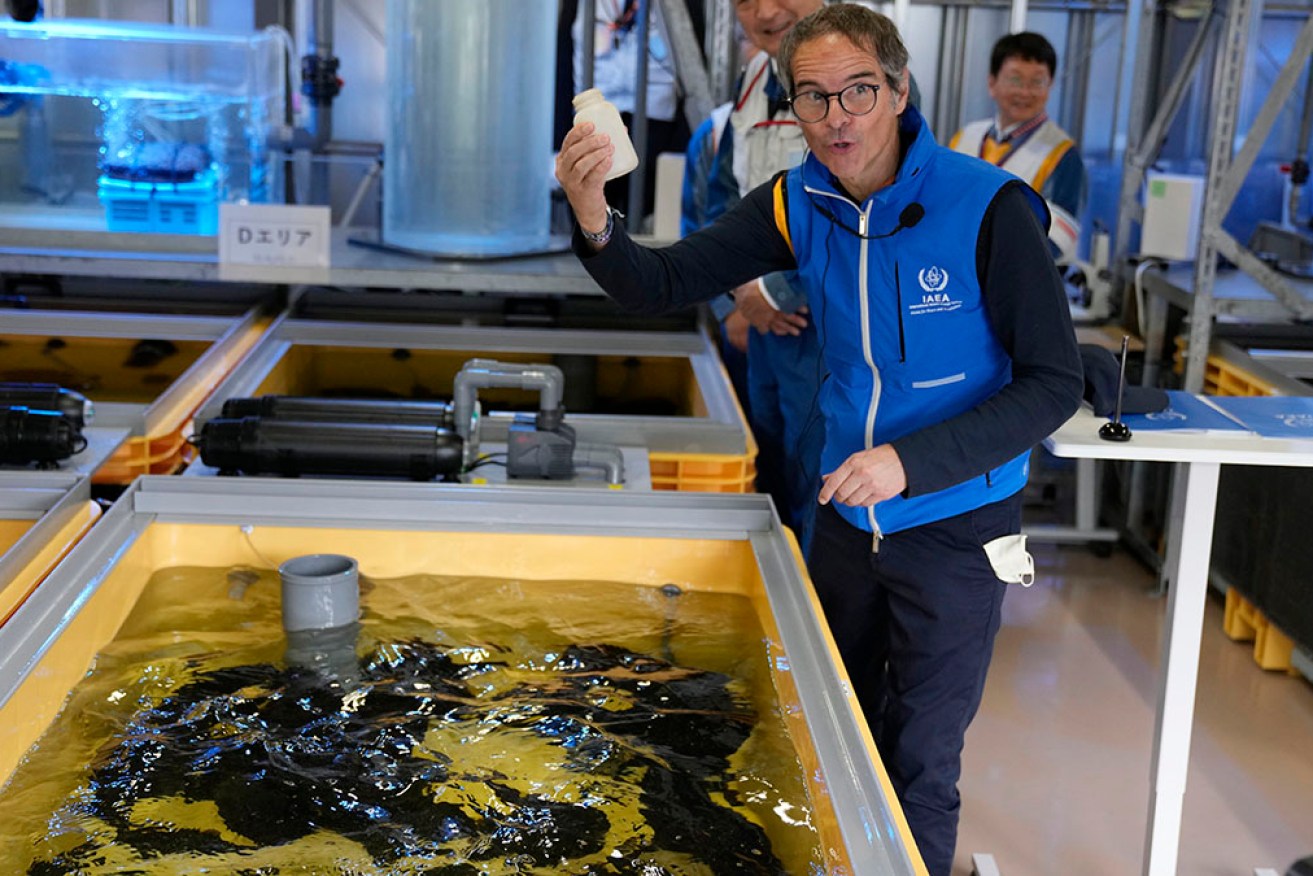 Atomic Energy Agency chief Rafael Grossi inspects fish raised for a study of low grade radiations effects during a July visit to Fukushima.