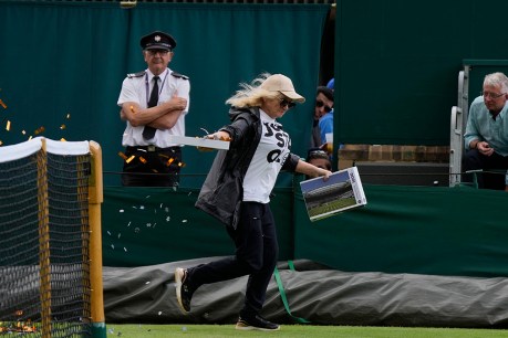 Just Stop Oil protest halts play at Wimbledon
