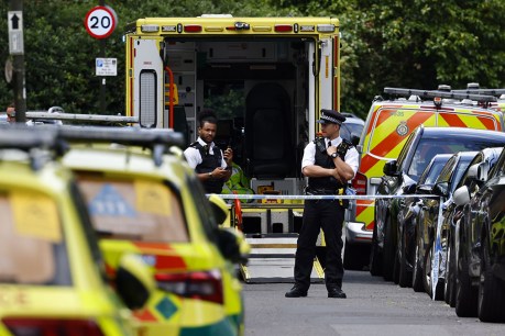 Nine injured as car crashes into Wimbledon school