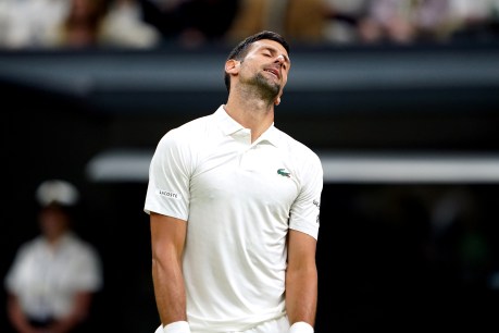 Djokovic's Wimbledon QF date delayed
