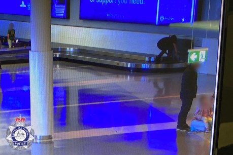 Two charged over airport baggage carousel joyride