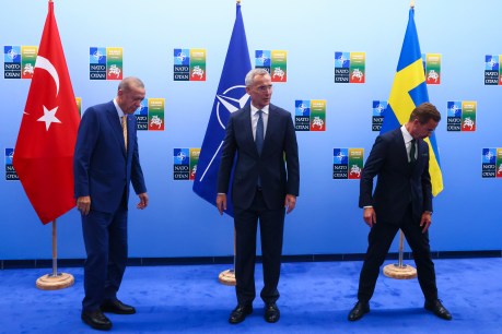 Turkey 'to move ahead with Sweden's NATO bid'