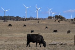 Australians want more renewables faster