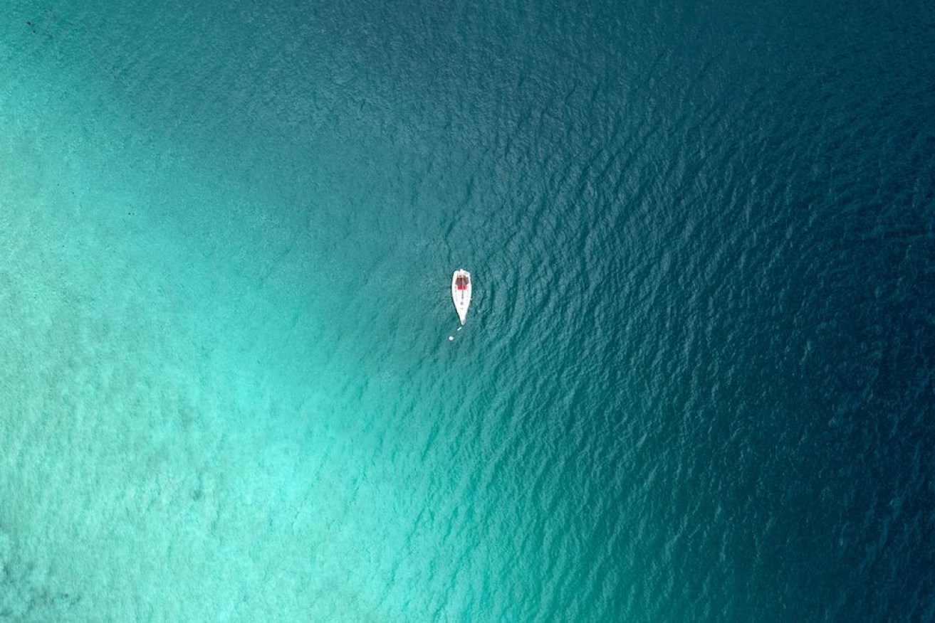 Oceans are changing in colour and its likely driven by climate change.