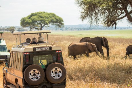 Africa’s iconic wildlife are waiting for you in Kenya