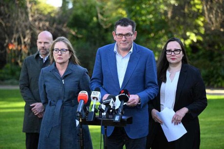 Andrews ducks questions over Games inquiry call up