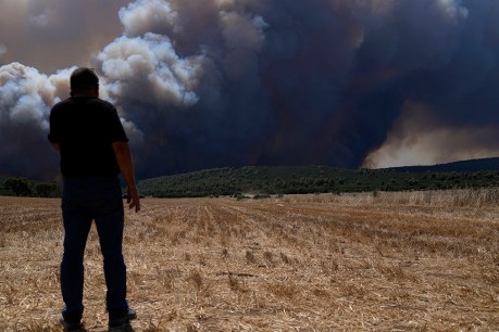 Homes evacuated as wildfire burns forests near Athens