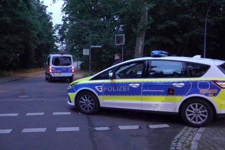 German police race to find lioness on the loose in Berlin