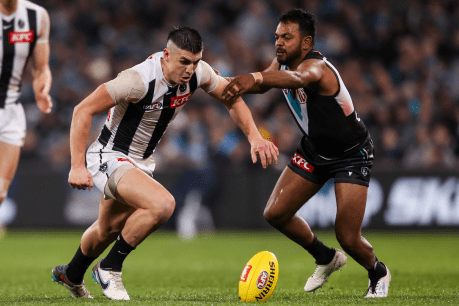 Magpie fans at centre of AFL’s latest racist disgrace 