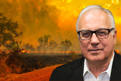 COVID was nothing compared to climate emergency