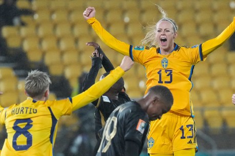 Last-minute Sweden winner denies South Africa