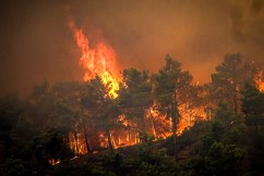 Thousands flee wildfire in shelter on Rhodes