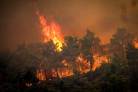 Thousands flee wildfire in shelter on Greek island of Rhodes