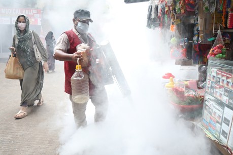 Bangladesh fears record death toll from dengue outbreak