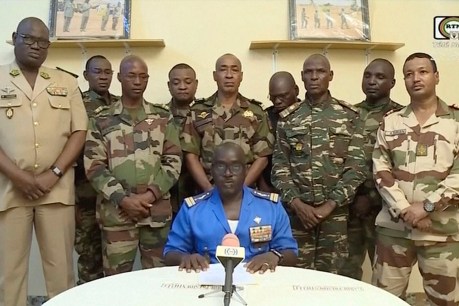 Summit ponders action after Niger warning