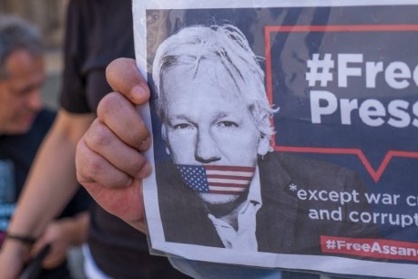 Rare bipartisan support for Assange’s release
