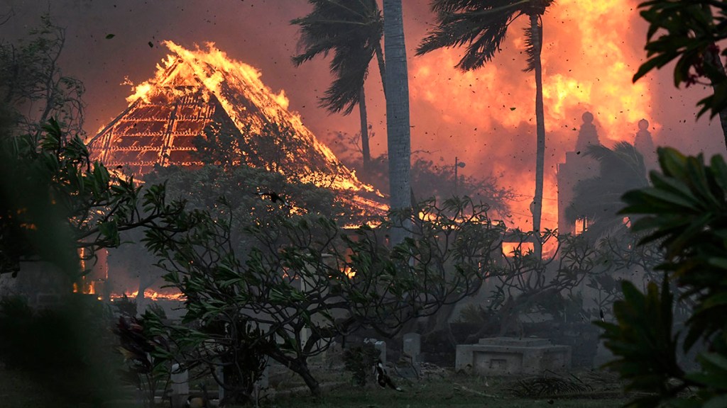 Dwayne The Rock Johnson heartbroken over Hawaii wildfires, calls for  support