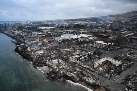 Hawaii fire death toll at 101, victim search continues