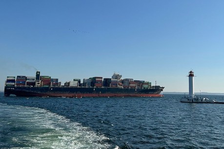Cargo ship leaves Ukraine port despite Russian threat