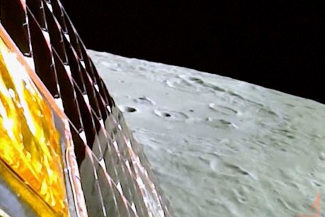 Chandrayaan-3 rover rolls onto Moon as India celebrates