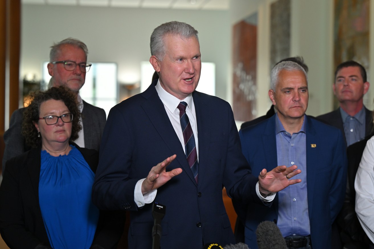 Workplace Minister Tony Burke said a national approach would be taken to banning engineered stone. 