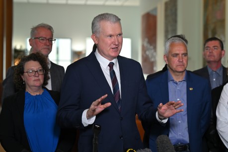 Burke slams $9 billion in total unpaid wages