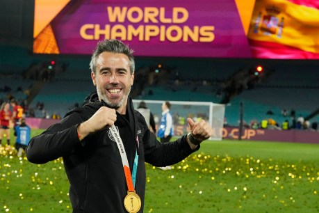 World Cup-winning coach Vilda says sacking unfair