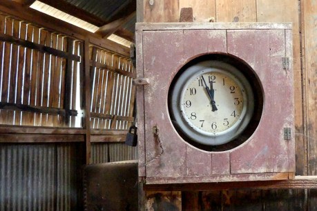 The fight to save Old Errowanbang Woolshed alive with Australia’s past
